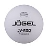 Мяч Jögel волейбольный JV-500